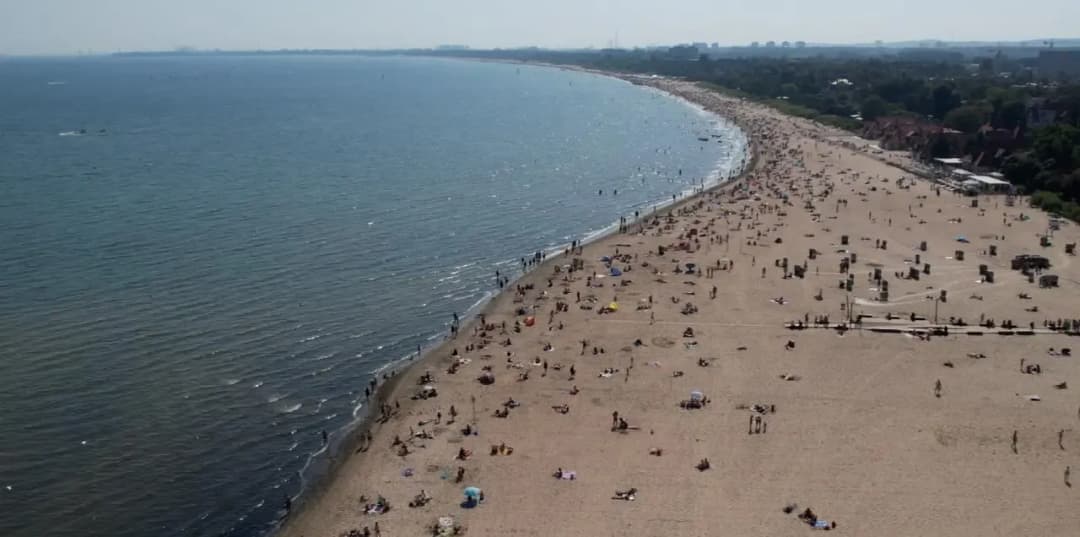 Gdzie sinice w Bałtyku? Sprawdź niebezpieczne kąpieliska latem