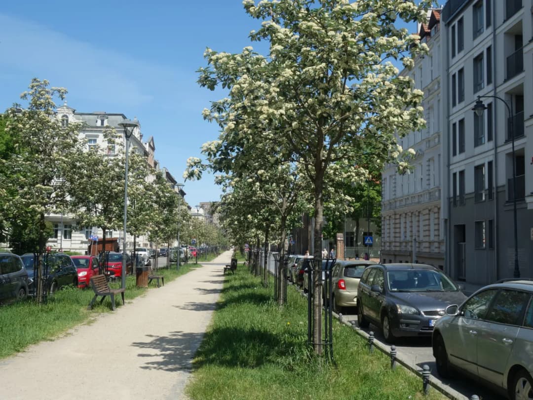 Ulica Lektykarska w Gdańsku - ważne informacje i ciekawostki