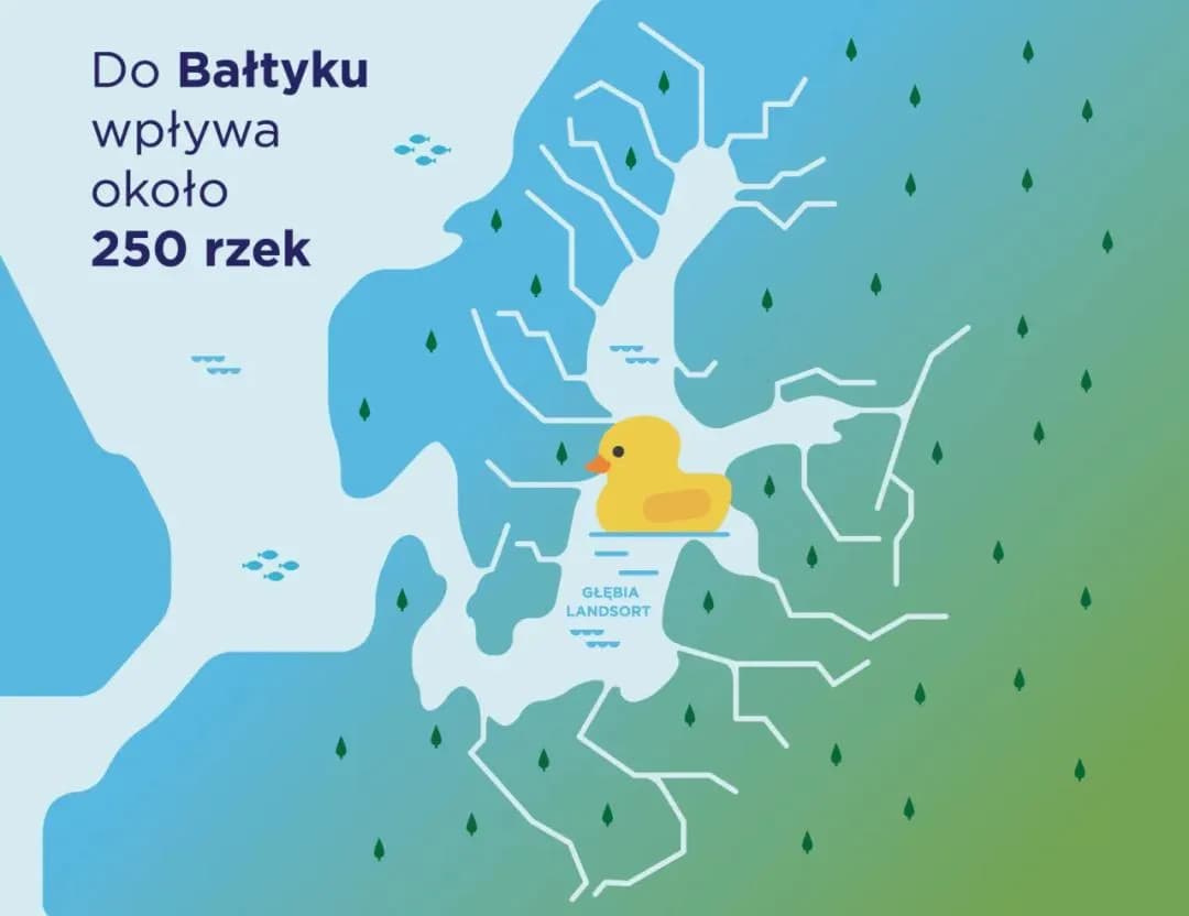 Jakie rzeki wpływają do Bałtyku i dlaczego mają kluczowe znaczenie?