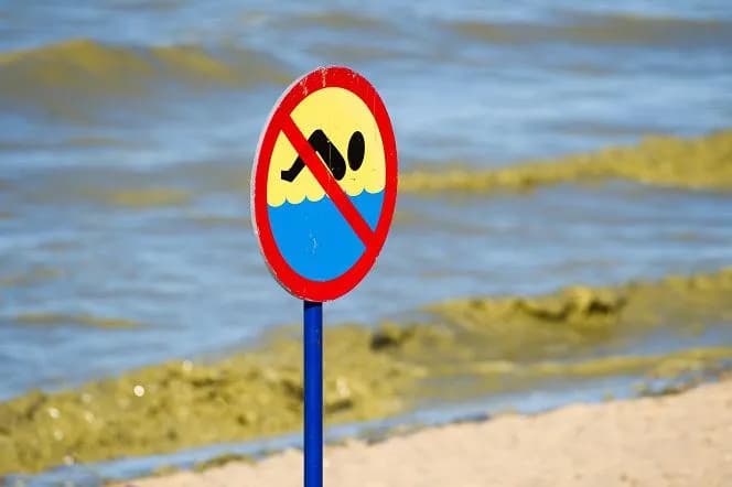 Gdzie są zamknięte plaże nad Bałtykiem i dlaczego warto to wiedzieć