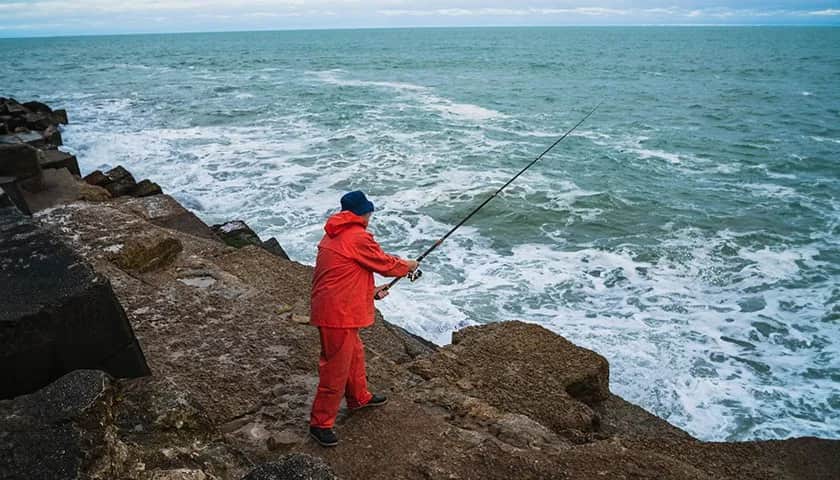 Kiedy łowić śledzie w Bałtyku: najlepsze okresy i techniki połowu 2025